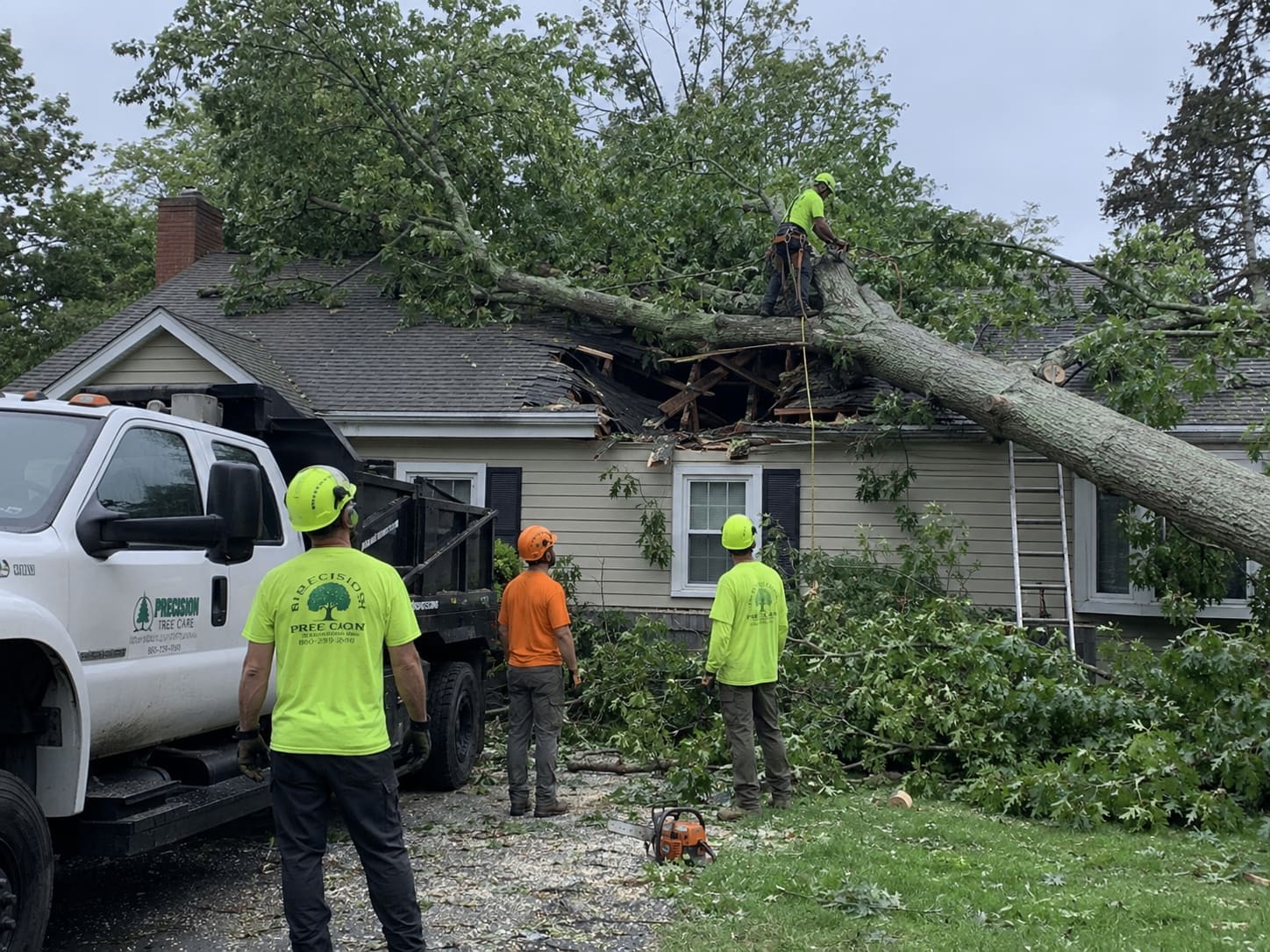 Emergency Tree Removal in Tallahassee, FL